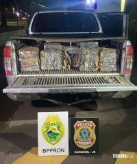 Ação integrada resulta na apreensão de 725 Kg de maconha em Vera Cruz do Oeste