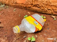 Briga de casal com direito a ameaça, drama e muito álcool no Bairro Sol de Maio 