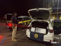 PRF prende condutor e apreende 203 quilos de maconha na BR-277 em Santa Terezinha de Itaipu