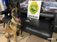 BPFRON e NEPOM apreendem crack e de maconha em Marechal Cândido Rondon