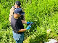 Homem é encontrado morto com arma de fogo na mão após troca de tiros no Jardim Almada