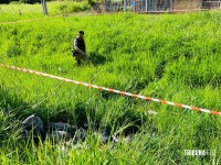 Homem é encontrado morto com arma de fogo na mão após troca de tiros no Jardim Almada