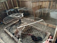 Policia Federal deflagra operação de combates aos crimes ambientais e ao tráfico na região oeste do Paraná e Santa Catarina