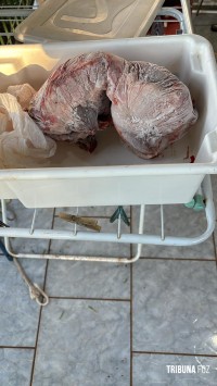 Policia Federal deflagra operação de combates aos crimes ambientais e ao tráfico na região oeste do Paraná e Santa Catarina