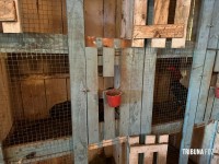 Policia Federal deflagra operação de combates aos crimes ambientais e ao tráfico na região oeste do Paraná e Santa Catarina