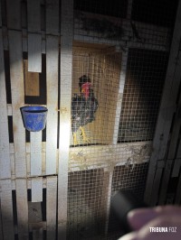 Policia Federal deflagra operação de combates aos crimes ambientais e ao tráfico na região oeste do Paraná e Santa Catarina