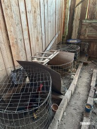 Policia Federal deflagra operação de combates aos crimes ambientais e ao tráfico na região oeste do Paraná e Santa Catarina