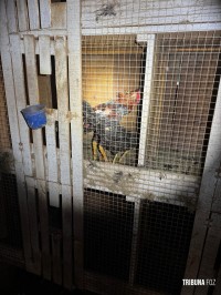 Policia Federal deflagra operação de combates aos crimes ambientais e ao tráfico na região oeste do Paraná e Santa Catarina