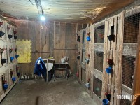 Policia Federal deflagra operação de combates aos crimes ambientais e ao tráfico na região oeste do Paraná e Santa Catarina