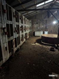 Policia Federal deflagra operação de combates aos crimes ambientais e ao tráfico na região oeste do Paraná e Santa Catarina