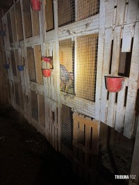 Policia Federal deflagra operação de combates aos crimes ambientais e ao tráfico na região oeste do Paraná e Santa Catarina