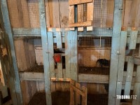 Policia Federal deflagra operação de combates aos crimes ambientais e ao tráfico na região oeste do Paraná e Santa Catarina