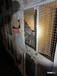 Policia Federal deflagra operação de combates aos crimes ambientais e ao tráfico na região oeste do Paraná e Santa Catarina