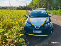 Guarda Municipal trocam tiros com assaltantes durante roubo na área norte de foz