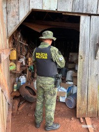 Polícia Federal deflagra operação contra crimes ambientais em Serranópolis do Iguaçu