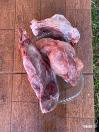 Polícia Federal deflagra operação contra crimes ambientais em Serranópolis do Iguaçu