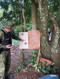 Polícia Federal deflagra operação contra crimes ambientais em Serranópolis do Iguaçu