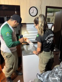 Polícia Federal deflagra operação contra crimes ambientais em Serranópolis do Iguaçu