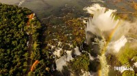 Meia Maratona das Cataratas chega a 17ª edição em 2026 com estimativa de 6 mil atletas participantes  