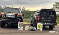 BPFRON e PF apreendem 19,1 Kg de maconha em porto clandestino no Jardim Jupira em Foz do Iguaçu