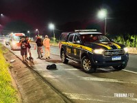 Motociclista morre após colidir na traseira de carreta na BR-277