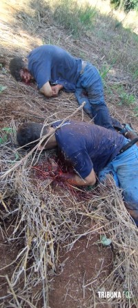 Confronto armado após assalto à residência termina com dois mortos e queda do helicótero da PM em Matelândia