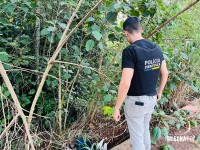 Corpo de homem é encontrado em avançado estado de decomposição no bairro Porto Belo