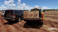 PF e PM apreendem 15 mil maços de cigarros contrabandeados no Lago de Itaipu