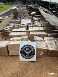 Policia Federal prende motorista transportando 3,3 toneladas de maconha na BR-277