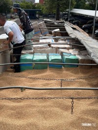 Policia Federal prende motorista transportando 3,3 toneladas de maconha na BR-277