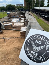 Policia Federal prende motorista transportando 3,3 toneladas de maconha na BR-277