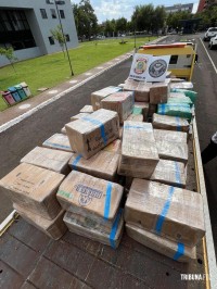 Policia Federal prende motorista transportando 3,3 toneladas de maconha na BR-277