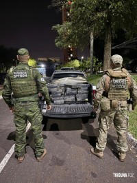 Ação conjunta entre PF e PMPR apreende 546,9 Kg de maconha em Foz do Iguaçu