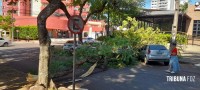 Árvore cai sobre três veículos no centro de Foz do Iguaçu