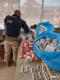 PRF apreende medicamentos irregulares e anabolizantes em van que transportava família na BR-277