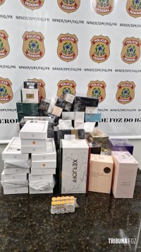 Policia Federal apreende medicamentos e produtos descaminhados no Aeroporto de Foz do Iguaçu