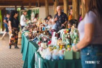Carnaval nas Cataratas atrai mais de 38 mil pessoas para o Parque Nacional do Iguaçu
