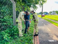 Homem é agredido durante assalto na pista de caminhada da marginal da BR-277