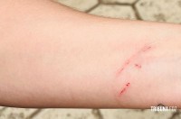 Noivo a caminho do casamento ajuda a conter assaltante no centro de Foz do Iguaçu