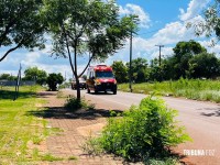 Filho agride o pai e a mãe com chutes e socos e deixa os dois feridos no Jardim Almada em Foz do Iguaçu