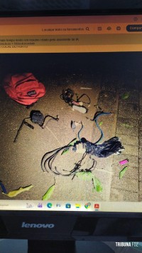 Guarda Municipal prende homem que furtava fios no Parque Imperatriz