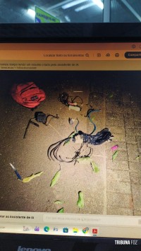 Guarda Municipal prende homem que furtava fios no Parque Imperatriz