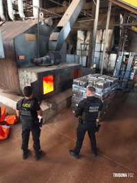 Policia Federal incinera quase 12 toneladas de drogas na tríplice fronteira