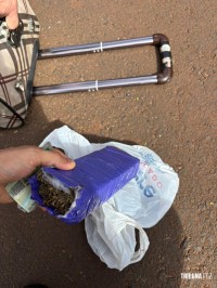 Guarda Municipal prende suspeito com tablete de maconha atrás do TTU