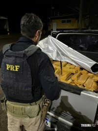 PRF apreende quase 350 quilos de droga na BR-277 em Santa Terezinha de Itaipu