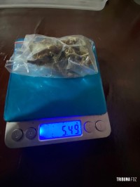 Brasileiro é preso em posse de maconha tipo capulho em Ciudad Del Este