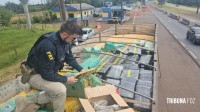 PRF apreende, no Paraná, a maior quantidade de maconha do ano em rodovias federais