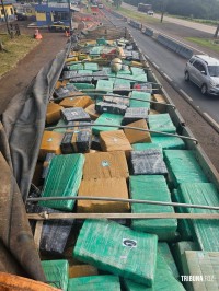 PRF apreende, no Paraná, a maior quantidade de maconha do ano em rodovias federais