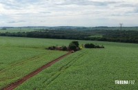 Dois confrontos com a Polícia terminam com dois suspeitos mortos em Santa Terezinha de Itaipu
