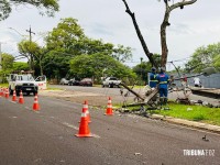 Impacto tão forte que motor é arrancado após veículo colidir em poste na Av. Garibaldi